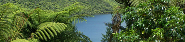 Blue Lake - Rotorua (New Zealand)