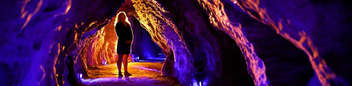 Waitomo Caves Glowworm Extravaganza