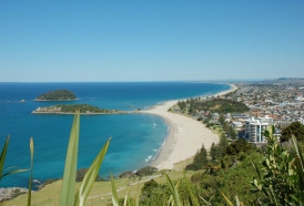 View from Mount Maunganui